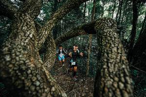 BIB: 
                            <button type="button" onclick="openModal(25392729)" class="btn btn-primary btn-sm float-right btn-popup" data-toggle="modal" data-target=".modal-high-quality">
                        <i class="fas fa-shopping-cart"></i> Add to Cart
                    </button>
                                            <button type="button" onclick="isThisMe(25392729, true)" class="btn btn-success btn-sm float-right btn-popup btn-isme hidden" data-toggle="tooltip" data-placement="bottom" title="นี่คือรูปของคุณใช่ไหม คลิกที่นี่เพื่อเอาเข้าอัลบั้ม">
                        <i class="fas fa-plus"></i> Add to album
                    </button>
                    <button type="button" onclick="isThisMe(25392729, false)" class="btn btn-warning btn-sm float-right btn-popup btn-isnotme hidden">
                        <i class="fas fa-ban"></i> Remove from album
                    </button>